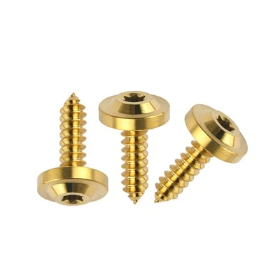 Skru Penoreh Sendiri Titanium